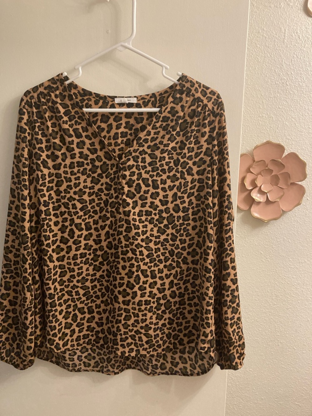 Leopard Print V-Neck Long-Sleeve Blouse